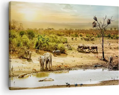 Produktbild von Bild auf Leinwand - Leinwandbild - Safari Tiere - 70x50cm - Wand Bild - Wanddeko - Wandbilder - Leinwanddruck - Bilder - Kunstdruck - Wanddekoration - Leinwand bilder - Wandkunst - AA70x50-3880