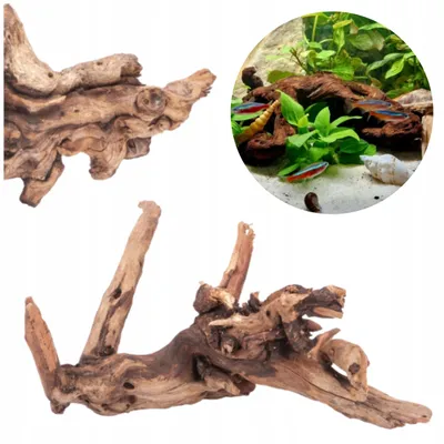 Zdjęcie produktu dla Dekoracja akwariowa – korzeń, drewno naturalne Desert, 20 cm