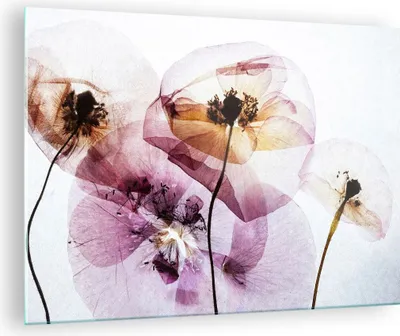 Produktbild von Bilder auf glas - blume sommer natur - 70x50cm - Glasbilder - Wandbilder - Kunstdruck - zum Aufhängen bereit - Wanddekoration aus Glas - Glas Bilder - Wandbild auf Glas - Einteilig - GAA70x50-3821