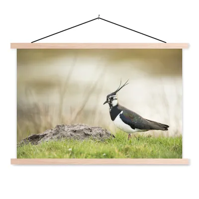 Produktbild von MuchoWow® Textilposter Vogel - Gras - Tiere - Natur - Kiebitz 120x80 cm mit holzfarbenen Rahmen - Aufhängeset