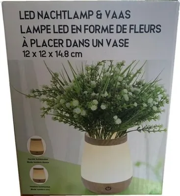 Produktbild von LED nachtlamp & vaas - 12 cm