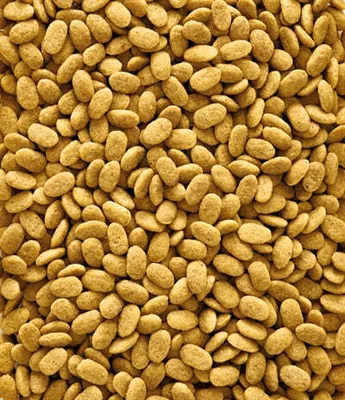 Zdjęcie produktu dla Nutribird P15 Original Maintenance Food