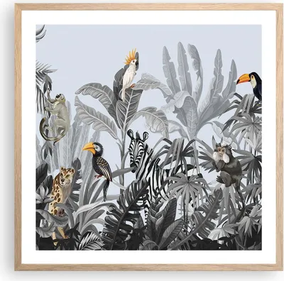 Produktbild von Gerahmtes Poster - Rahmen in heller Eiche - Dschungel Tiere Tukane - 60x60 cm - Wand Bild - Wanddeko - Wandbilder - Kunstposter - Wandposter - Bilderrahmen - Bilder - Kunstdruck - P2NAC60x60-4662