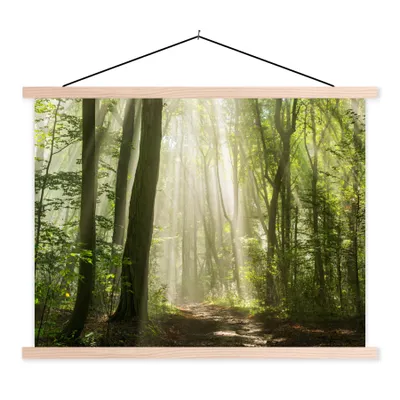 Produktbild von MuchoWow® Textilposter Wald - Licht - Natur - Landschaft 120x90 cm mit holzfarbenen Rahmen - Magnetisch