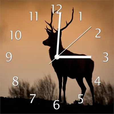 Produktbild von Wallario Design Wanduhr Rothirsch am Abend aus Echtglas, Größe 30 x 30 cm