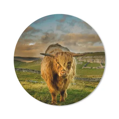 Produktbild von MuchoWow® Mauspad Mousepad Schottischer Highlander - Gras - Berg 30x30 cm - Mousepads - Maus Mat - Pad - Mausunterlage - Tischunterlage - Schreibtischmatten