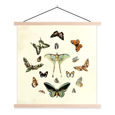 Produktbild von MuchoWow® Textilposter Schmetterling - Tiere - Vintage 120x120 cm mit holzfarbenen Rahmen - Textil-Poster