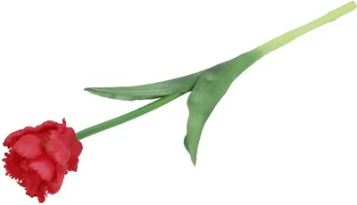 Produktbild von Countryfield Kunstliche Blume Tulpe - rot - real touch - 40 cm
