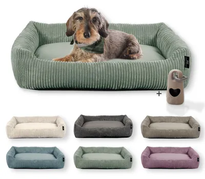 Image de Coupe-tube Lit pour chien lavable pour chiens de petite et moyenne taille avec coussin pour chien en velours côtelé, sac à crottes inclus, couleur : sauge, motif : velours côtelé large