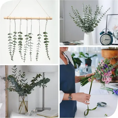 Produktbild von 30 Stück natürliche getrocknete Eukalyptuszweige - Dekorative Blumen für Hochzeit und Zuhause - Lange Eukalyptusstiele von 41 cm - Trockenblumen für Blumenarrangements