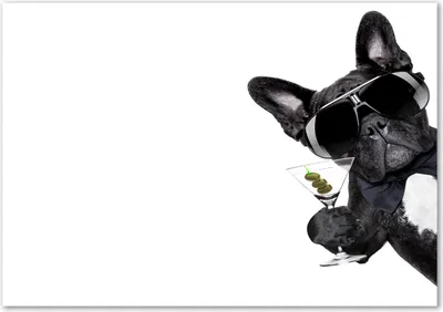 Produktbild von Tulup® Glas-Bild - 100 x 70 - Wandbild aus Glas - Wandkunst - Wandbild hinter gehärtetem Sicherheitsglas - Tiere - Hund mit Martini - Schwarz
