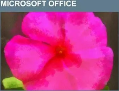 Produktbild von Microsoft Office