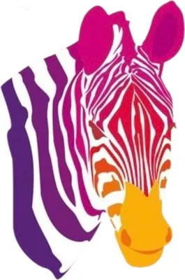 Produktbild von Zebra-Regenbogen-Aufbügelanwendung