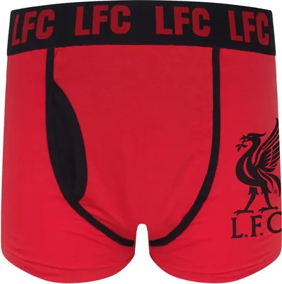Produktbild von Liverpool FC - Boxershorts für Herren GF1087 (S) (Schwarz)
