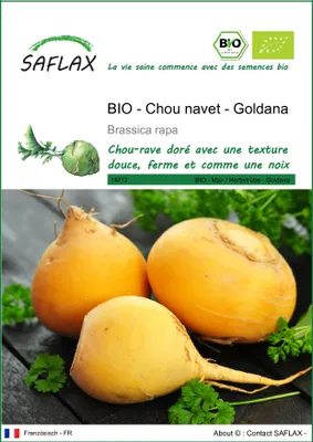 Image de SAFLAX  -- Chou navet - Goldana - 500 graines - Brassica