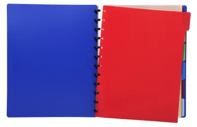 Immagine prodotto di Exacompta 86002E Index 6 pezzi DIN A4 Maxi colorati assortiti in polipropilene 300µ