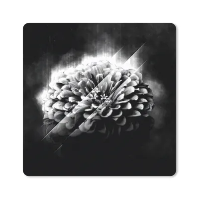 Produktbild von MuchoWow® Mauspad Mousepad Rosen - Blumen - Licht - Schwarz - Weiß 30x30 cm - Mousepads - Maus Mat - Pad - Mausunterlage - Gaming