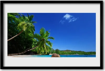 Produktbild von Bild 60x40 MDF-Rahmen Wandkunst Palmen Strand-Landschaft