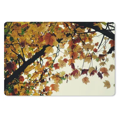 Produktbild von MuchoWow® Schreibtischunterlage Bäume - Herbstblätter - Natur 60x40 cm - XXL Mauspad - Großes Mauspad