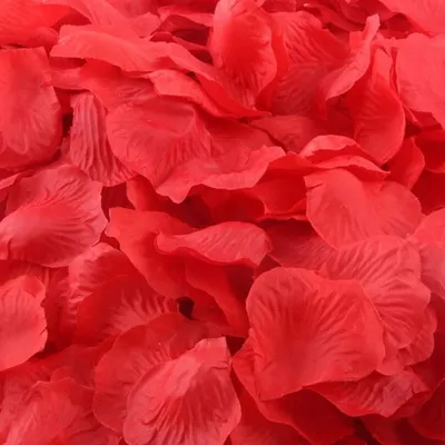 3000 Kunst-Rosenblütenblätter, romantische Deko für Hochzeit & Party