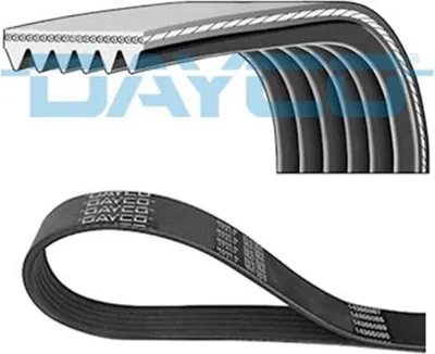 Produktbild von DAYCO Keilrippenriemen 842,0mm für VW GOLF VI (5K1) 6PK842EE