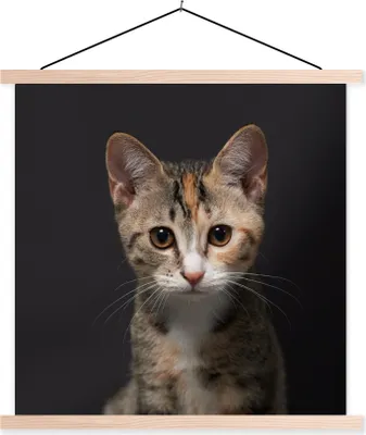Produktbild von MuchoWow® Textilposter Katze - Schwarz - Porträt 40x40 cm mit holzfarbenen Rahmen - Posterleiste