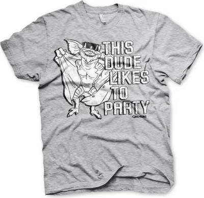 Produktbild von This Dude Likes To Party T-Shirt - Small - Heather-Grey