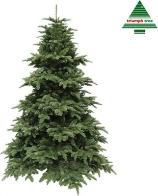 Productafbeelding van Nordmann kunstkerstboom deluxe abies groen h185 d135 cm Triumph Tree
