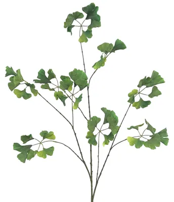 Produktbild von Künstlicher Ginkgozweig 125cm. Kunstpflanze mit Realistischen Blättern