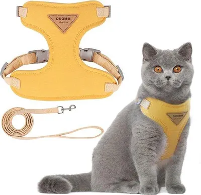 Produktbild von Famanu Katzengeschirr Verstellbar - Entfluchtungsbeständig und Atmungsaktiv für Kätzchen - Gelb XS
