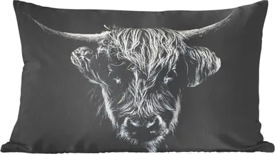 Produktbild von MuchoWow® Zierkissen Sofakissen Wohnzimmer Dekokissen 50x30 cm Schottisches Hochlandrind - Schwarz - Kuh - Tiere - Wohnzimmerdekoration - Polster mit Photo