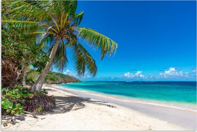 Produktbild von MuchoWow® Poster Strand - Meer - Tropisch 120x80 cm - Bilder
