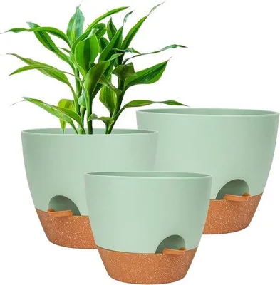 Produktbild von Selbstwassende Blumenschale mit Bewässerungssystem - Pflanzenschalen für Innen und Außen - Orchideenpflanzschale mit Unterlage