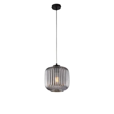 Immagine prodotto di Lampadario Anya 1 luce ferro specchio grigio