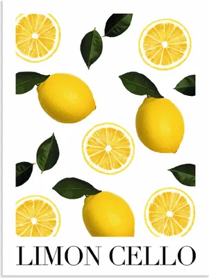 Produktbild von ARTland Wandbild Alu für Innen & Outdoor Limon Cello Größe: 45x60 cm