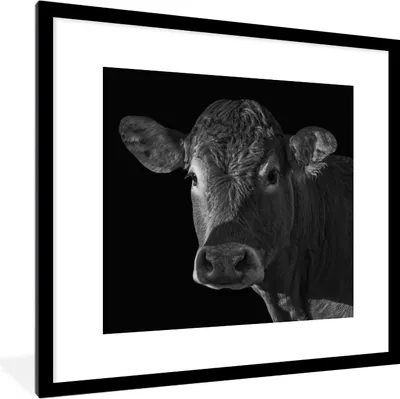 Produktbild von MuchoWow® Gerahmtes Poster Kuh - Tiere - Schwarz - Weiß - Porträt 40x40 cm - Poster mit Schwarzem Bilderrahmen Wandposter Rahmen Foto Bilder - Poster - Plakat im Rahmen