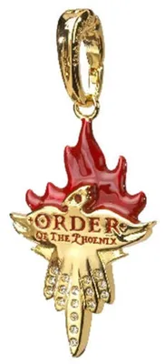 Productafbeelding van De verzamelwaarde van Harry Potter en de Orde van de Feniks