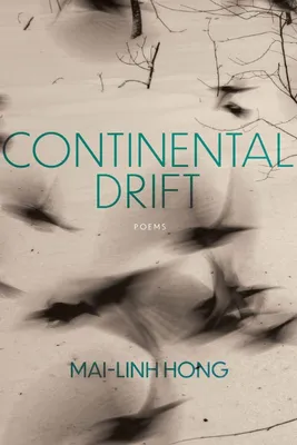 Produktbild von Continental Drift