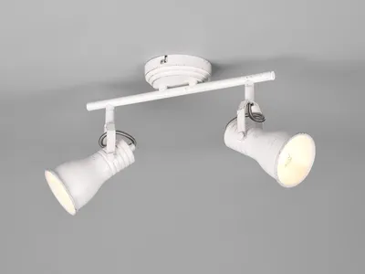 Produktbild von Deckenstrahler STEAM 2 flammig