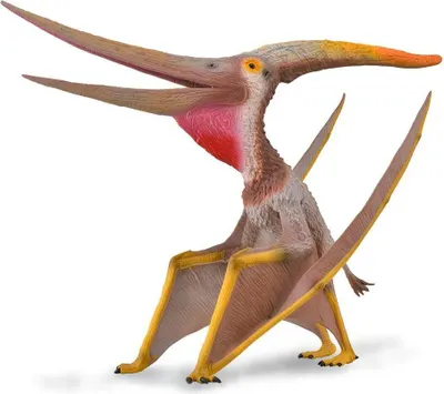 Zdjęcie produktu dla COLLECTA Dinozaur Petranodon 88912 Collecta