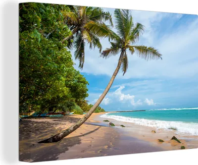 Produktbild von OneMillionCanvasses® - Leinwandbilder - 140x90 cm, Palme - Strand - Meer, Wandbilder Kunstdruck Wanddekoration