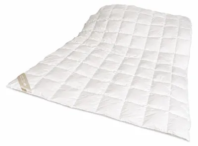 Produktbild von Hofmann´s Sommer Daunenbett Daunendecke Bettdecke Sommerdecke 8x10 155x220 cm