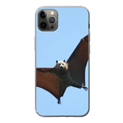 Produktbild von MuchoWow® Handyhülle Schutzhülle Hülle für iPhone 13 Pro Max Fledermaus - Luft - Flügel Silikon Softcase Handy Hülle - Mobiltelefon
