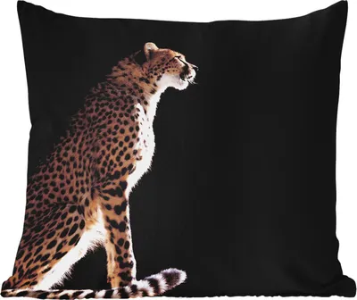 Produktbild von MuchoWow® Outdoor Kissen - Gepard - Tiere - Licht - 50x50 cm - Wetterfest - Lounge Kissen - Komfortabel - Kissen mit Bild