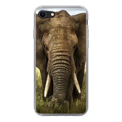 Produktbild von MuchoWow® Handyhülle Schutzhülle Hülle für iPhone 7 Elefant - Natur - Gras - Tiere - Landschaft Silikon Softcase Handy Hülle - Kartenhalter