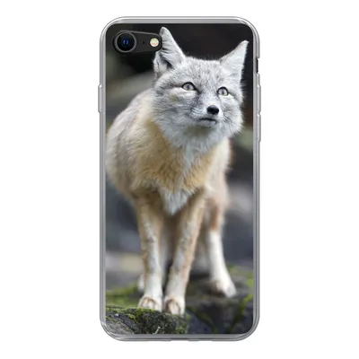 Produktbild von MuchoWow® Handyhülle Schutzhülle Hülle für iPhone 8 Fuchs - Makro - Baum Silikon Softcase Handy Hülle - Schutzhaube
