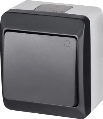 Image de Bouton-poussoir de sonnette apparent 10 A 230 V IP44 couleur anthracite HERMES