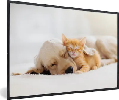 Produktbild von MuchoWow® Gerahmtes Poster Tiere - Hund - Kätzchen - Rot 90x60 cm - Poster mit Schwarzem Bilderrahmen Wandposter Rahmen Foto Bilder - Fotorahmen - Foto-Plakat