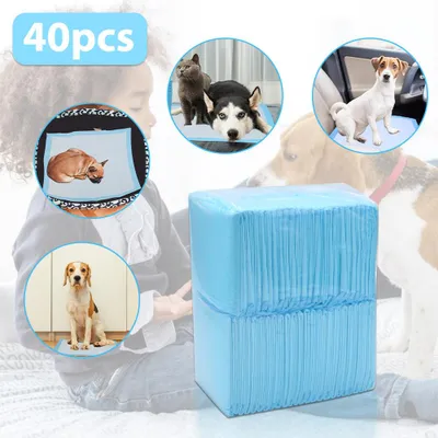 Produktbild von ISOISL 40 Stück Welpenunterlagen 60x60 cm Hunde Trainingspads Einweg Saugfähige Pipi Pads