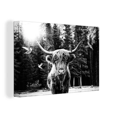 Produktbild von OneMillionCanvasses® - Leinwandbilder - 150x100 cm, Scottish Hochlandrind - Kolibri - Schwarz - Weiß, Wandbilder Kunstdruck Wanddekoration